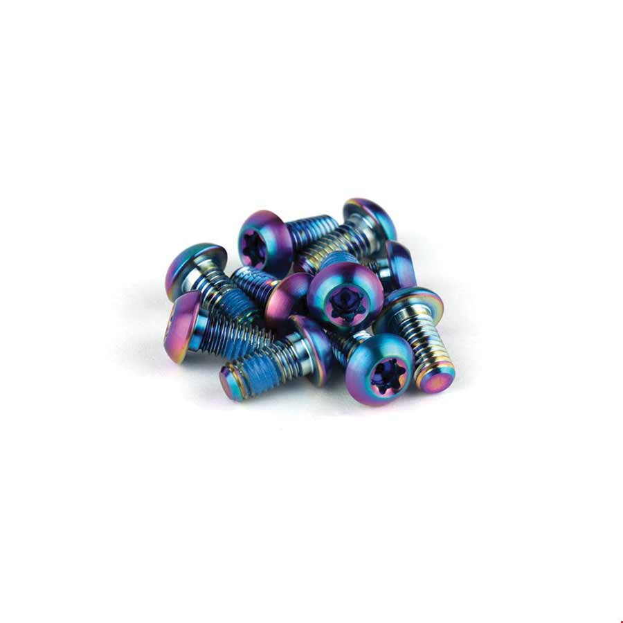 SRAM Titanium T25 Rotor Bolt Kit - Rainbow, Set of 12