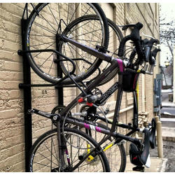 Saris Locking Bike Trac